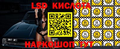 крисы Краснодар