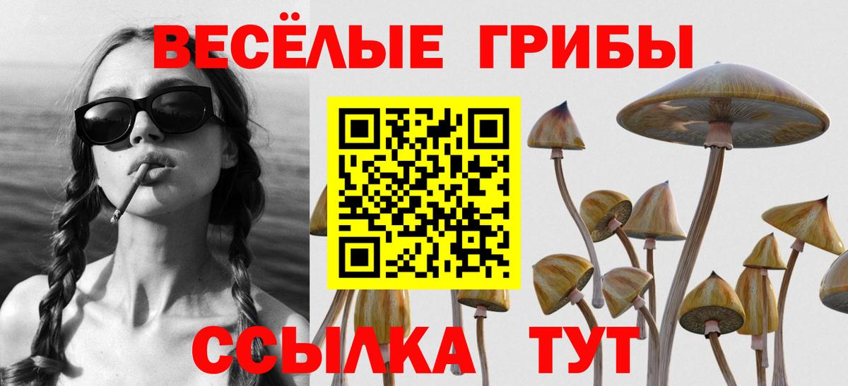 Галлюциногенные грибы Magic Shrooms  Галлюциногенные грибы Psilocybine cubensis  Вход с VPN  Кострома 