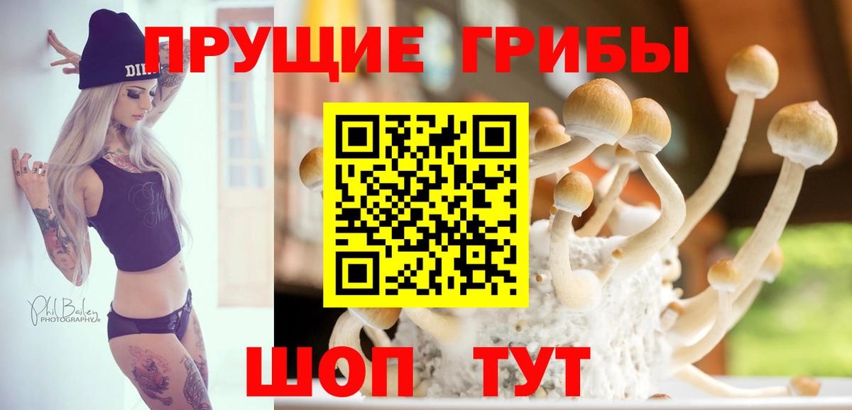 Галлюциногенные грибы прущие грибы Кострома